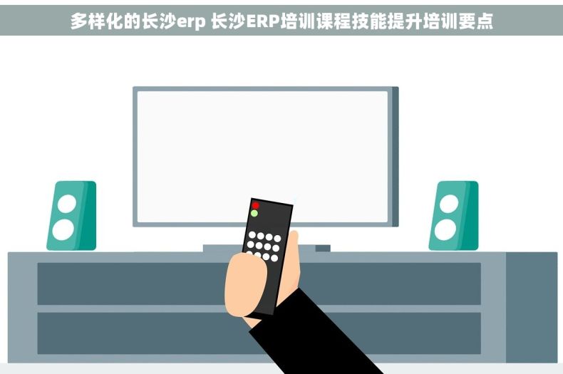 多样化的长沙erp 长沙ERP培训课程技能提升培训要点