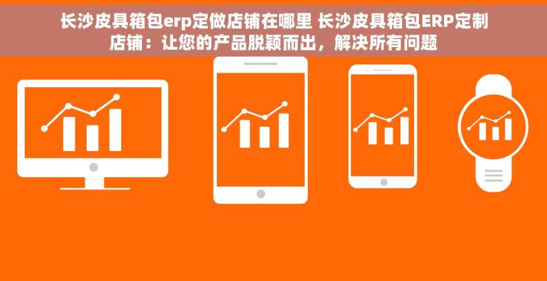 长沙皮具箱包erp定做店铺在哪里 长沙皮具箱包ERP定制店铺：让您的产品脱颖而出，解决所有问题