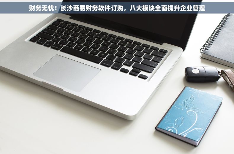 财务无忧！长沙商易财务软件订购，八大模块全面提升企业管理