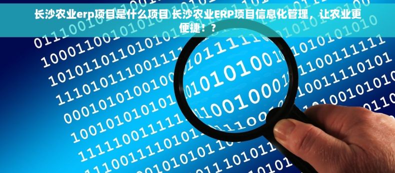 长沙农业erp项目是什么项目 长沙农业ERP项目信息化管理，让农业更便捷！?