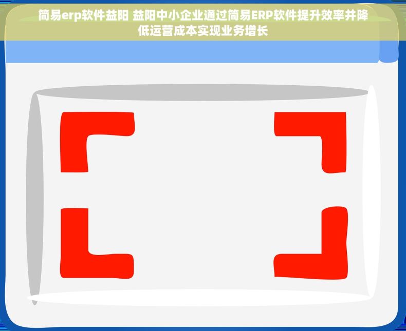 简易erp软件益阳 益阳中小企业通过简易ERP软件提升效率并降低运营成本实现业务增长