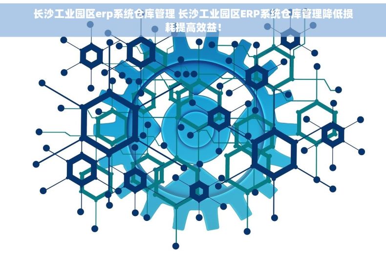 长沙工业园区erp系统仓库管理 长沙工业园区ERP系统仓库管理降低损耗提高效益！