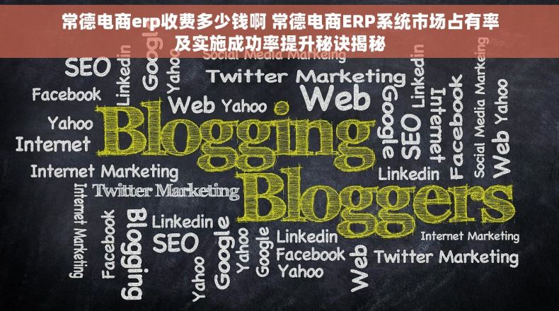 常德电商erp收费多少钱啊 常德电商ERP系统市场占有率及实施成功率提升秘诀揭秘