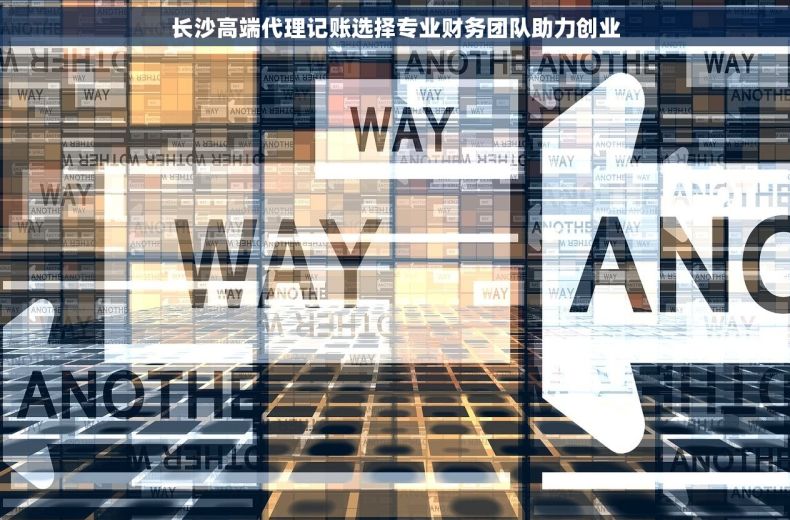 长沙高端代理记账选择专业财务团队助力创业