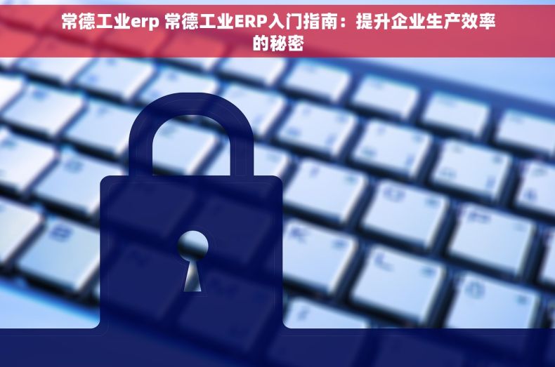 常德工业erp 常德工业ERP入门指南：提升企业生产效率的秘密