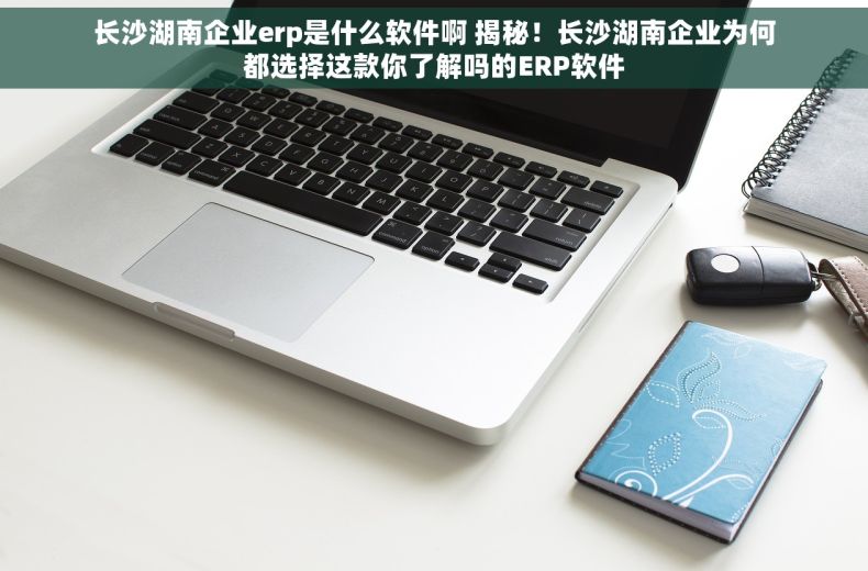 长沙湖南企业erp是什么软件啊 揭秘！长沙湖南企业为何都选择这款你了解吗的ERP软件