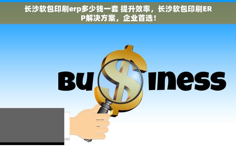 长沙软包印刷erp多少钱一套 提升效率，长沙软包印刷ERP解决方案，企业首选！