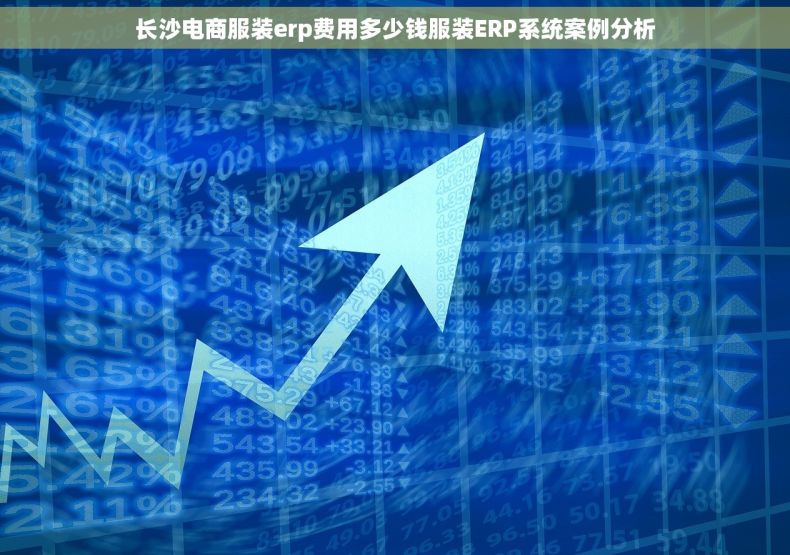 长沙电商服装erp费用多少钱服装ERP系统案例分析