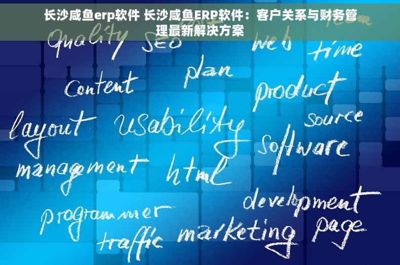 长沙咸鱼erp软件 长沙咸鱼ERP软件：客户关系与财务管理最新解决方案