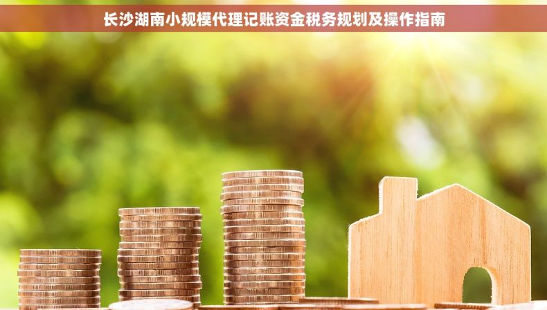 长沙湖南小规模代理记账资金税务规划及操作指南