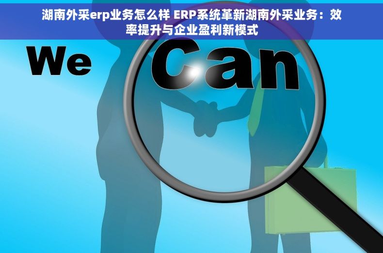 湖南外采erp业务怎么样 ERP系统革新湖南外采业务：效率提升与企业盈利新模式