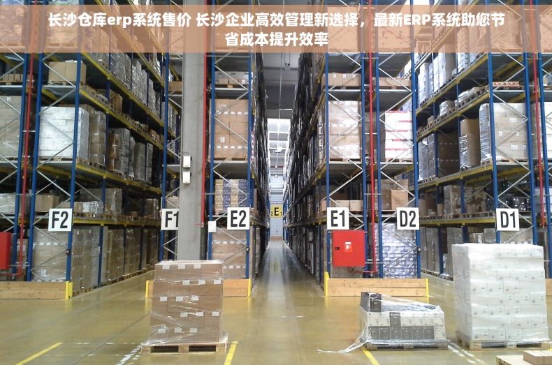 长沙仓库erp系统售价 长沙企业高效管理新选择，最新ERP系统助您节省成本提升效率