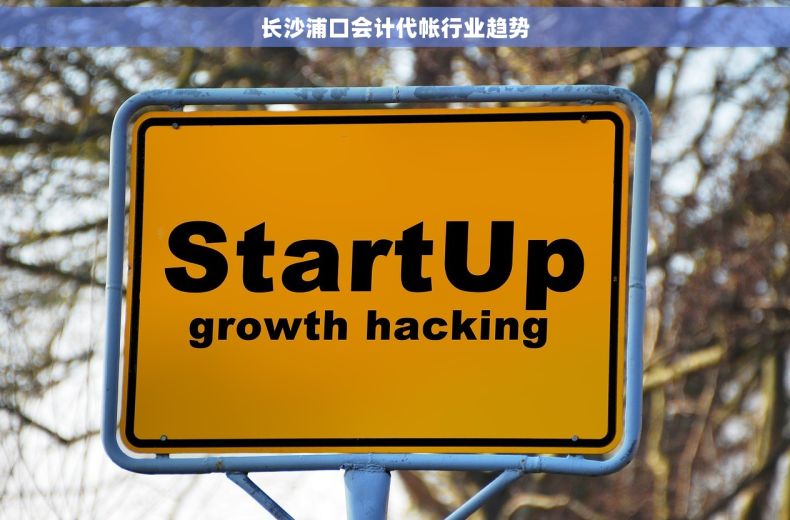 长沙浦口会计代帐行业趋势