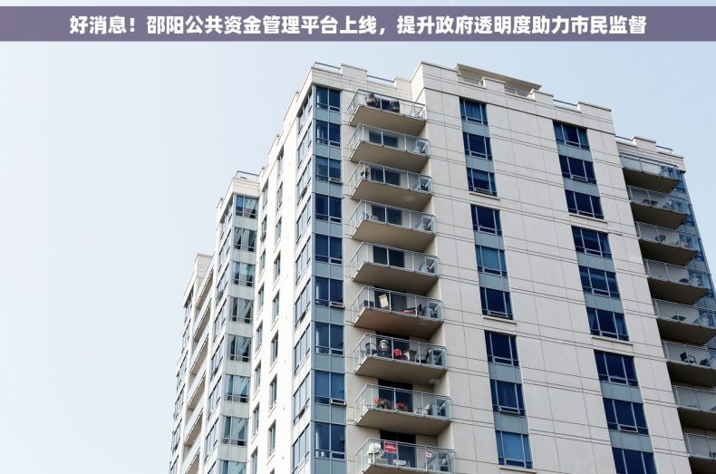 好消息！邵阳公共资金管理平台上线，提升政府透明度助力市民监督
