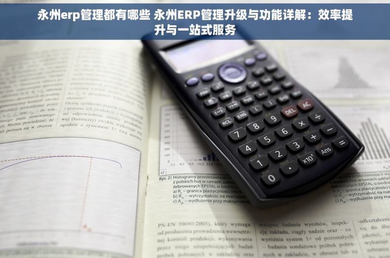 永州erp管理都有哪些 永州ERP管理升级与功能详解：效率提升与一站式服务