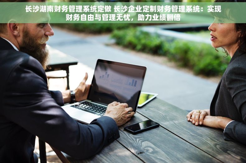 长沙湖南财务管理系统定做 长沙企业定制财务管理系统：实现财务自由与管理无忧，助力业绩翻倍