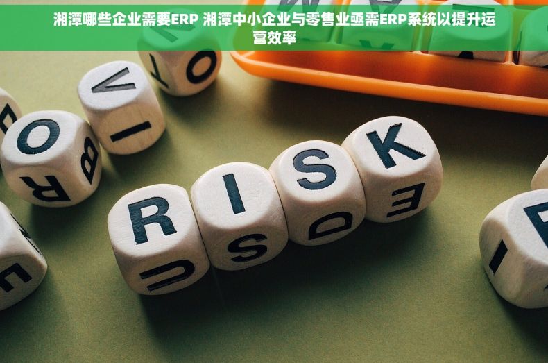 湘潭哪些企业需要ERP 湘潭中小企业与零售业亟需ERP系统以提升运营效率