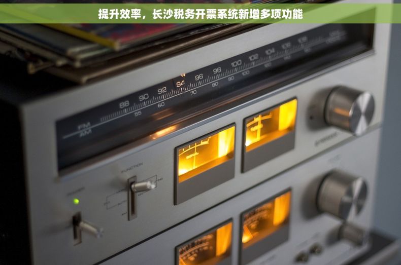 提升效率，长沙税务开票系统新增多项功能