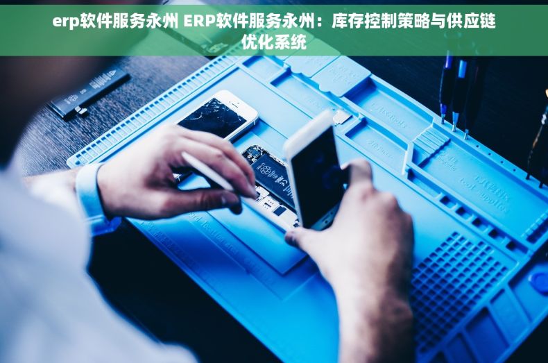 erp软件服务永州 ERP软件服务永州：库存控制策略与供应链优化系统