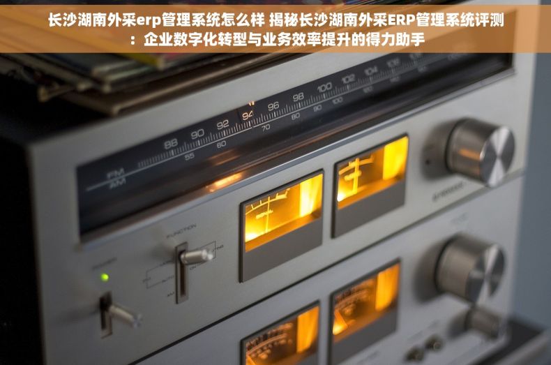 长沙湖南外采erp管理系统怎么样 揭秘长沙湖南外采ERP管理系统评测：企业数字化转型与业务效率提升的得力助手
