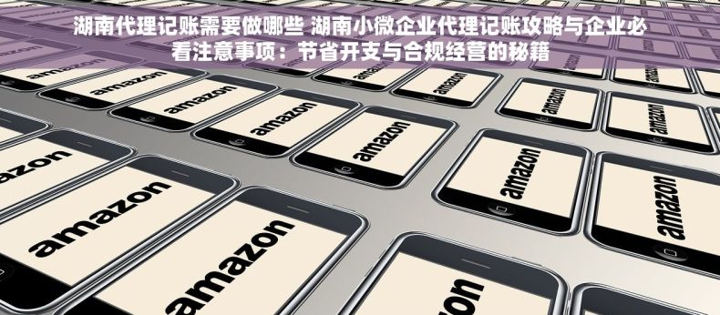湖南代理记账需要做哪些 湖南小微企业代理记账攻略与企业必看注意事项：节省开支与合规经营的秘籍