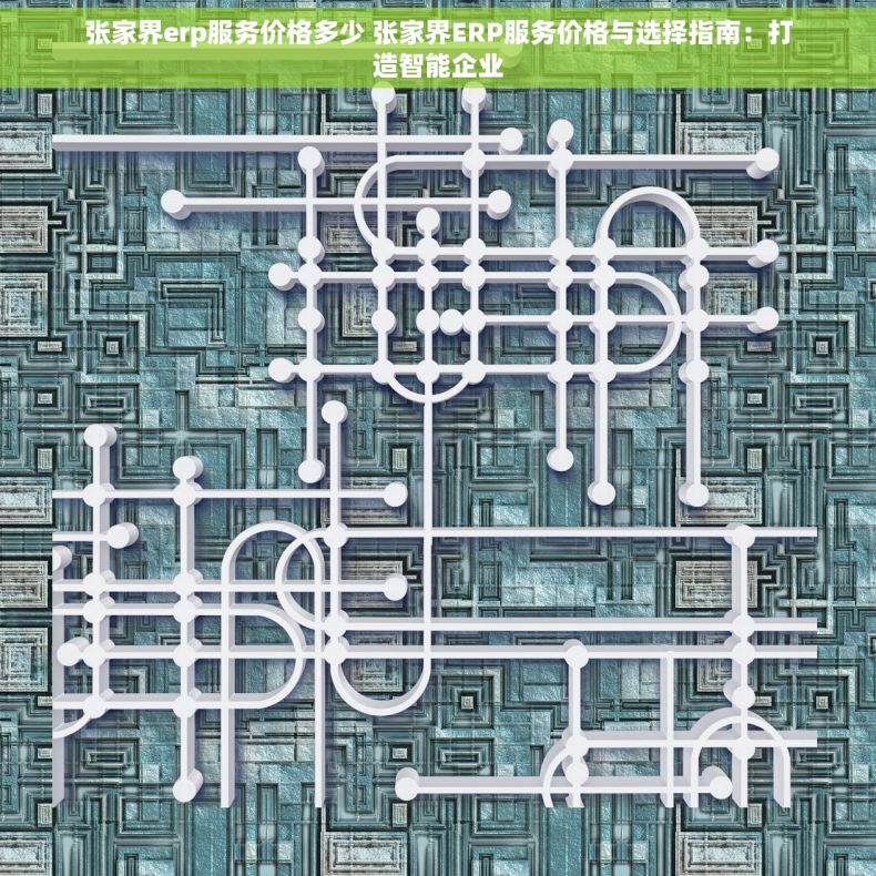 张家界erp服务价格多少 张家界ERP服务价格与选择指南：打造智能企业