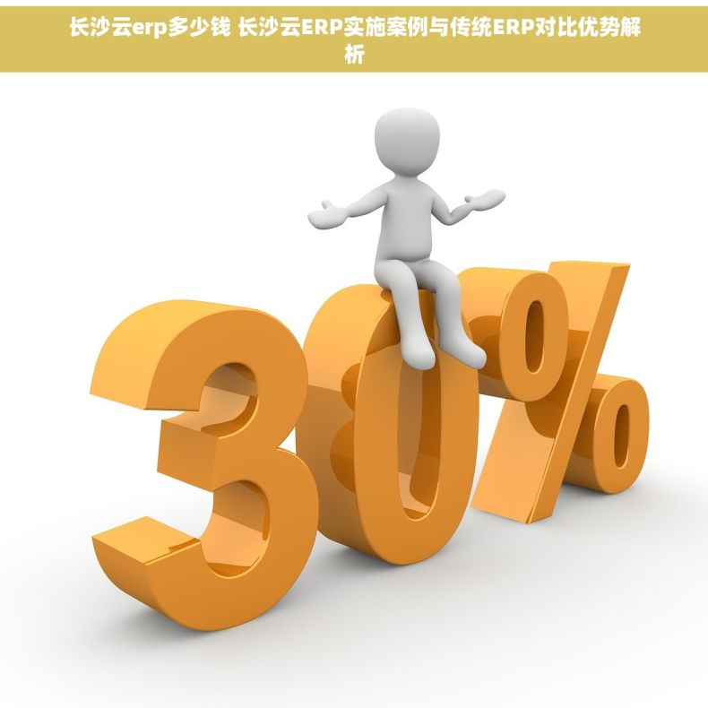 长沙云erp多少钱 长沙云ERP实施案例与传统ERP对比优势解析