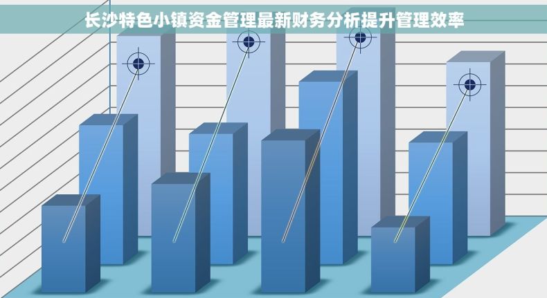 长沙特色小镇资金管理最新财务分析提升管理效率