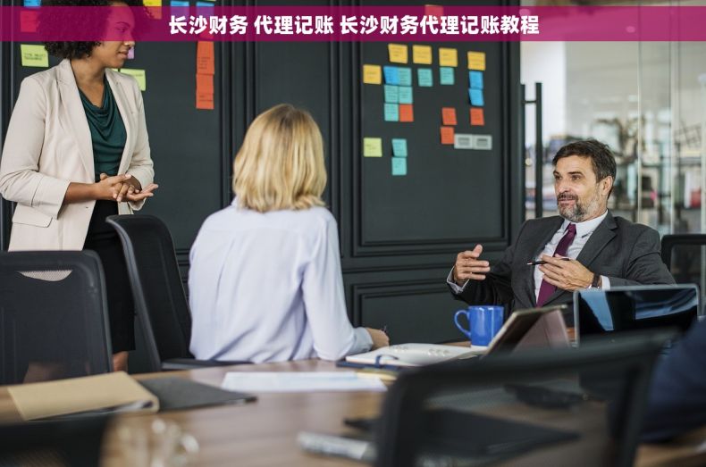 长沙财务 代理记账 长沙财务代理记账教程