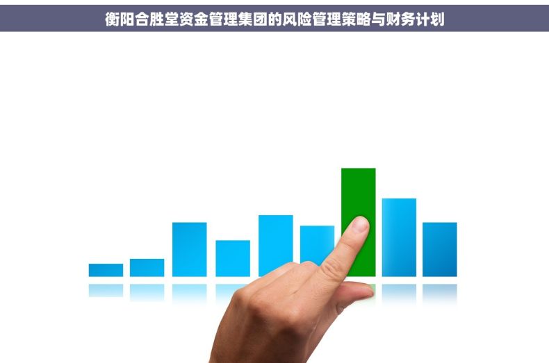 衡阳合胜堂资金管理集团的风险管理策略与财务计划