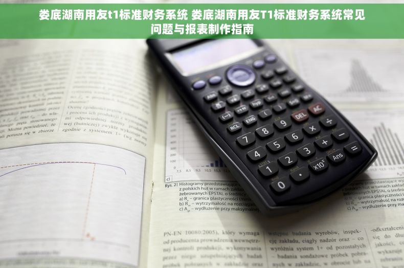 娄底湖南用友t1标准财务系统 娄底湖南用友T1标准财务系统常见问题与报表制作指南