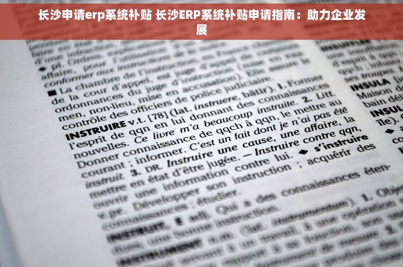 长沙申请erp系统补贴 长沙ERP系统补贴申请指南：助力企业发展