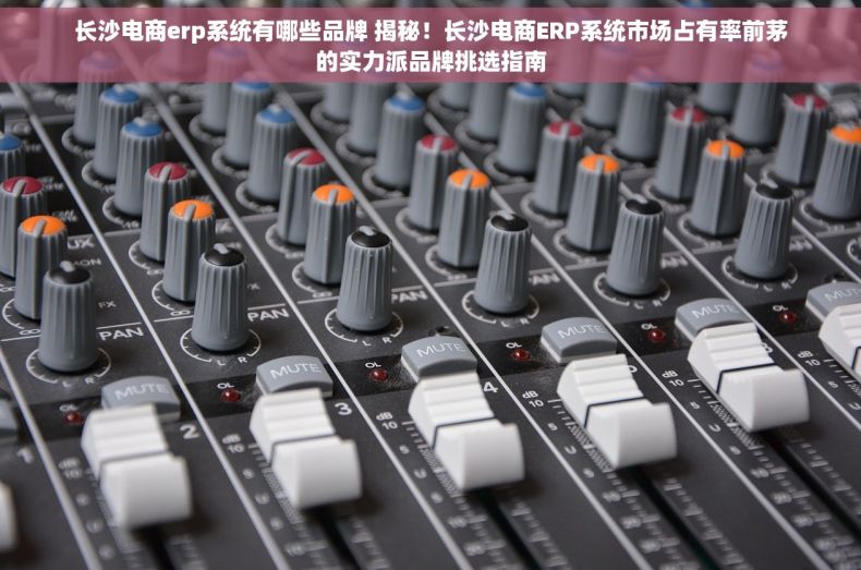长沙电商erp系统有哪些品牌 揭秘！长沙电商ERP系统市场占有率前茅的实力派品牌挑选指南