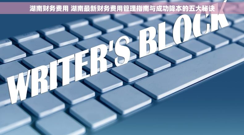 湖南财务费用 湖南最新财务费用管理指南与成功降本的五大秘诀