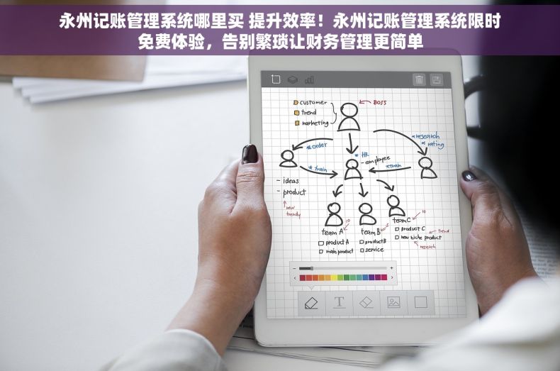 永州记账管理系统哪里买 提升效率！永州记账管理系统限时免费体验，告别繁琐让财务管理更简单