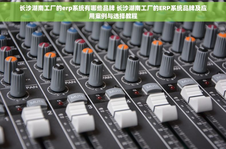 长沙湖南工厂的erp系统有哪些品牌 长沙湖南工厂的ERP系统品牌及应用案例与选择教程