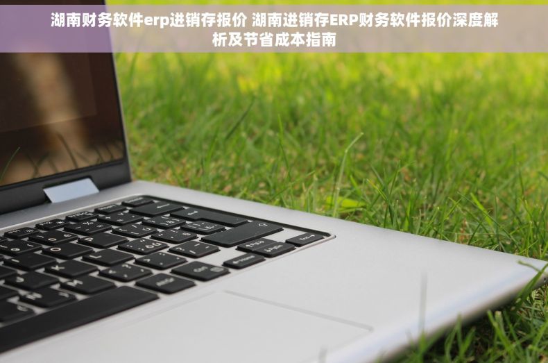 湖南财务软件erp进销存报价 湖南进销存ERP财务软件报价深度解析及节省成本指南
