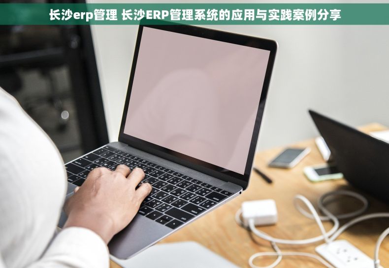 长沙erp管理 长沙ERP管理系统的应用与实践案例分享