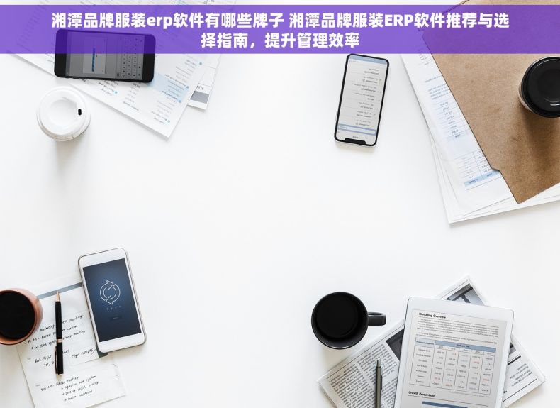 湘潭品牌服装erp软件有哪些牌子 湘潭品牌服装ERP软件推荐与选择指南，提升管理效率