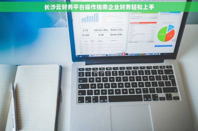 长沙云财务平台操作指南企业财务轻松上手