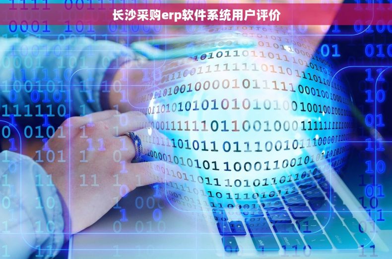 长沙采购erp软件系统用户评价