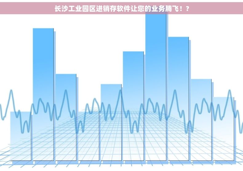 长沙工业园区进销存软件让您的业务腾飞！?