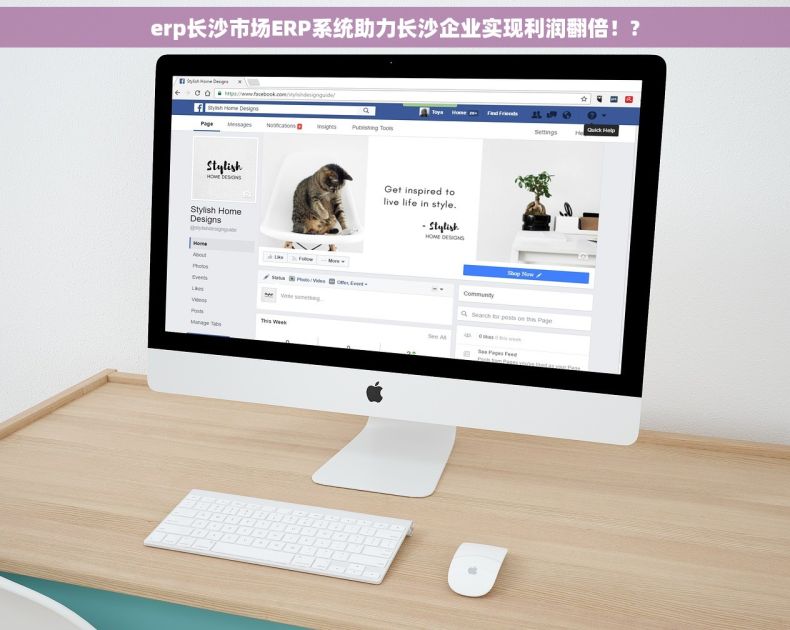 erp长沙市场ERP系统助力长沙企业实现利润翻倍！?