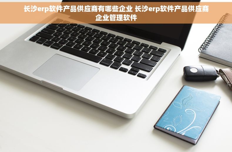 长沙erp软件产品供应商有哪些企业 长沙erp软件产品供应商企业管理软件