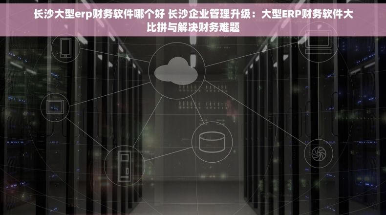 长沙大型erp财务软件哪个好 长沙企业管理升级：大型ERP财务软件大比拼与解决财务难题