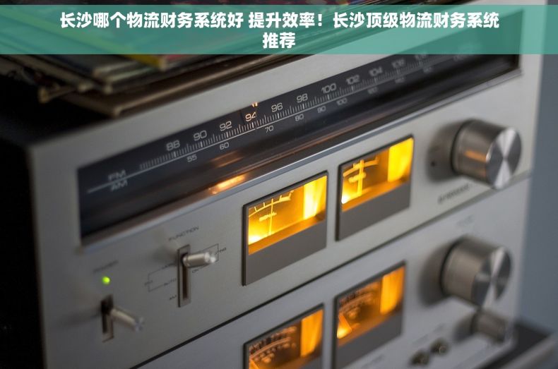 长沙哪个物流财务系统好 提升效率！长沙顶级物流财务系统推荐