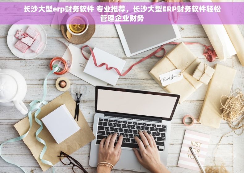 长沙大型erp财务软件 专业推荐，长沙大型ERP财务软件轻松管理企业财务