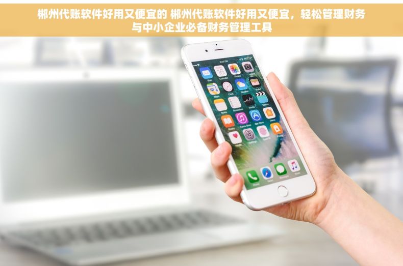 郴州代账软件好用又便宜的 郴州代账软件好用又便宜，轻松管理财务与中小企业必备财务管理工具
