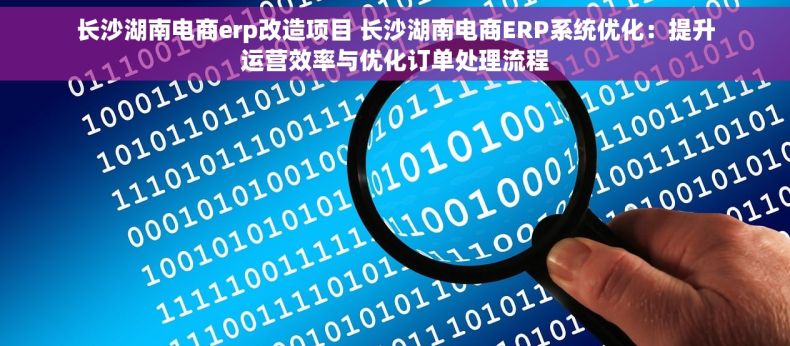 长沙湖南电商erp改造项目 长沙湖南电商ERP系统优化：提升运营效率与优化订单处理流程