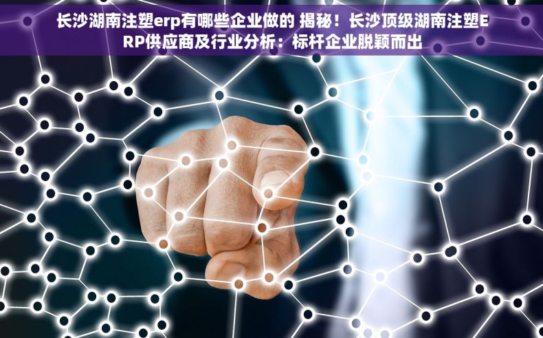 长沙湖南注塑erp有哪些企业做的 揭秘！长沙顶级湖南注塑ERP供应商及行业分析：标杆企业脱颖而出
